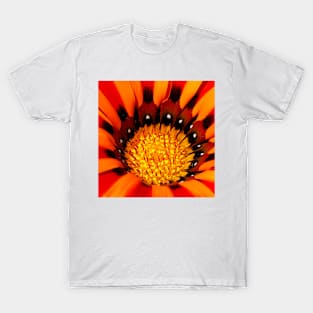 Into the Heart T-Shirt